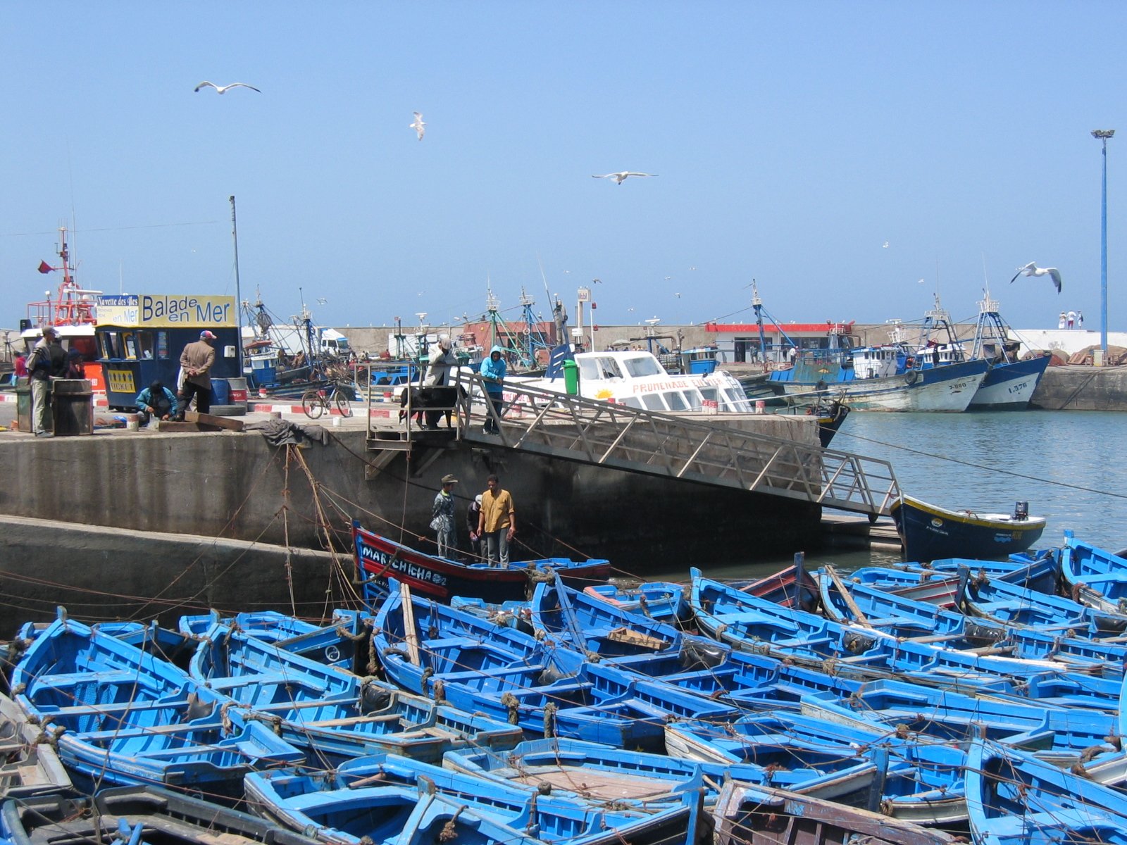 essaouira